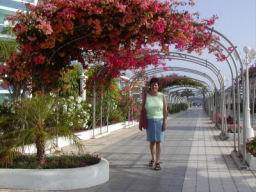 Resize of P21010004.JPG